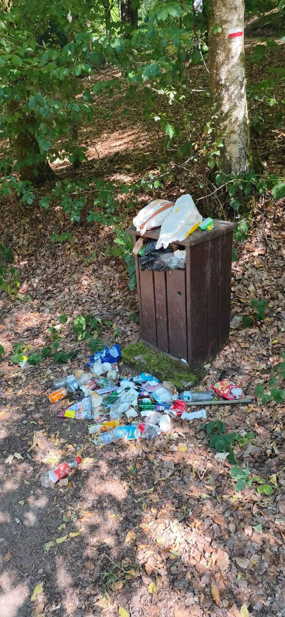 Une poubelle en bois près de la passerelle, pleine à ras bord ; à ses pieds, sur les feuilles mortes, un tas de bouteilles en plastique, de canettes et d’emballages.