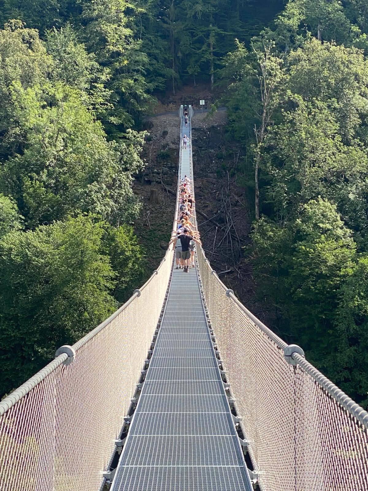 Une file de promeneurs sur la passerelle, les mains sur les câbles, au-dessus de la forêt.