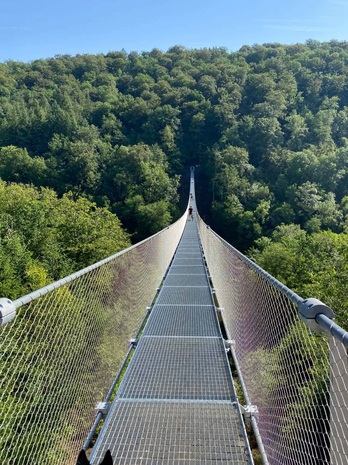 Le tablier en caillebotis de la passerelle, entre deux filets de protection, file droit vers la forêt du versant opposé.