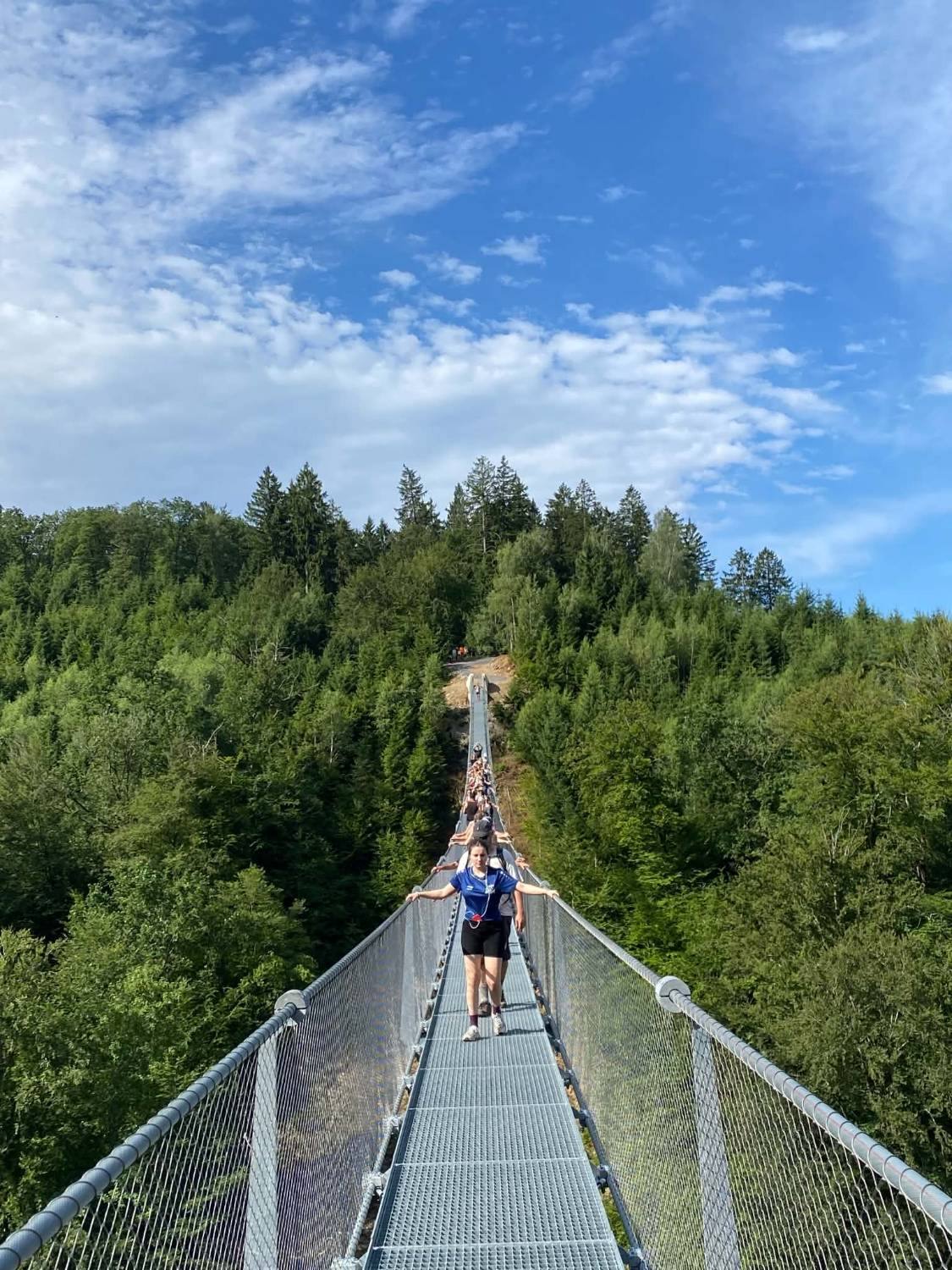 Des promeneurs avancent en file sur le tablier de la passerelle, les mains sur les câbles ; au fond, la passerelle file vers la forêt du versant opposé.