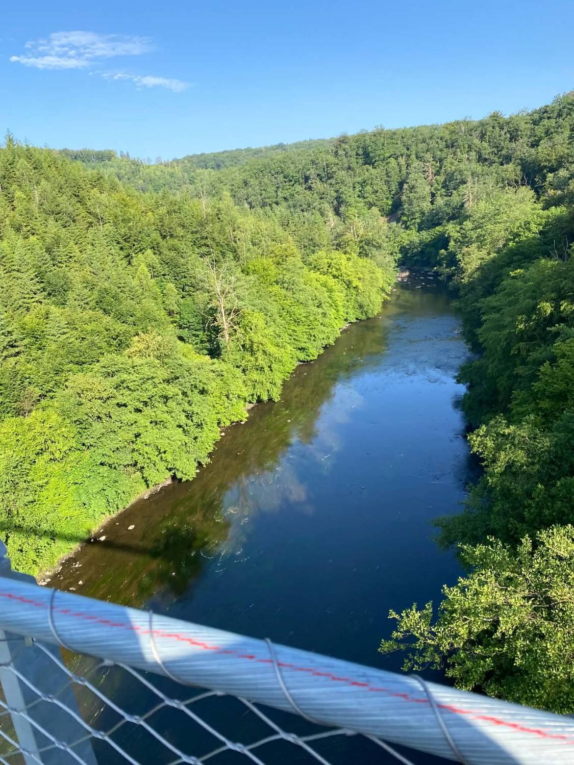 La Semois vue d’en haut depuis la passerelle, entre deux versants boisés, avec le câble de la main courante au premier plan.